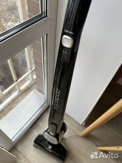 Пылесос Electrolux Ergorapido