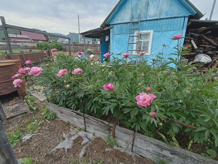 Дача 20 м² на участке 10 сот.