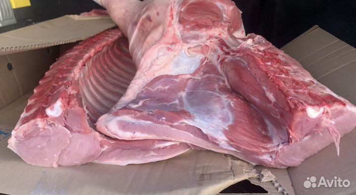 Молодая свинина без сала V.I.P (выборка)