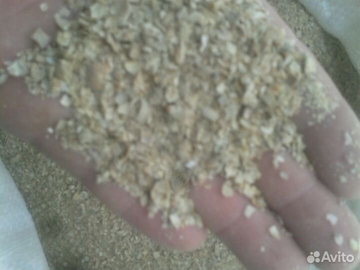 Ракушка морская кормовая