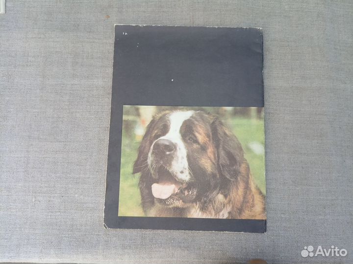 Валентин Тян. На ринг вызываются. Первая Всесоюзна