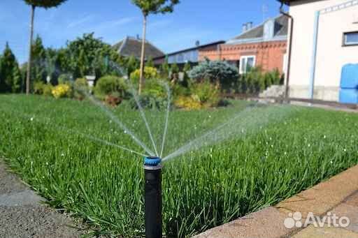 Укладка и продажа газона