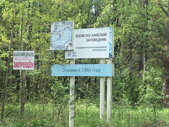 Участок 8,5 сот. (ИЖС)