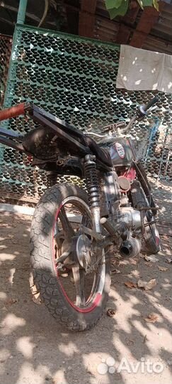 Альфа под стант