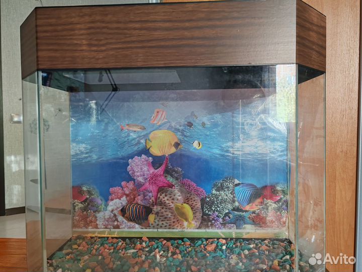 Аквариум