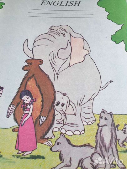 Тетрадь по английскому в косую для 1-го класса