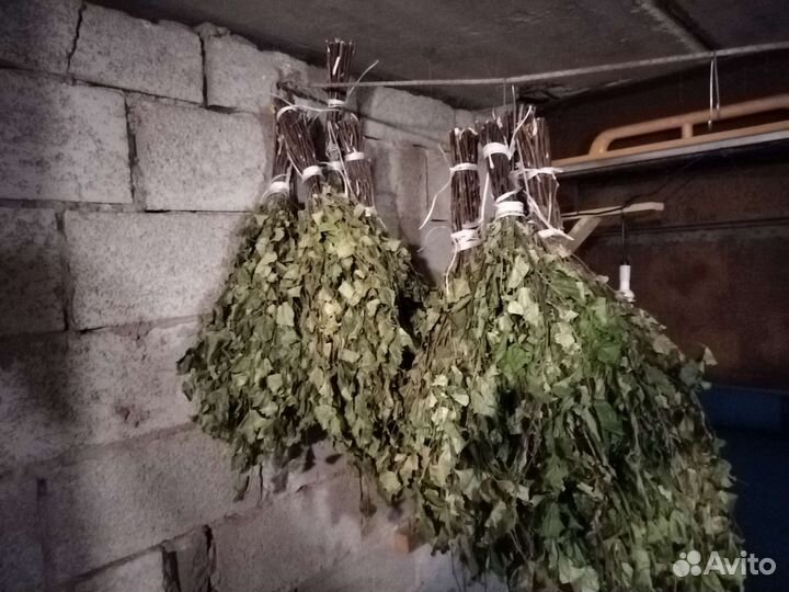 Веники березовые