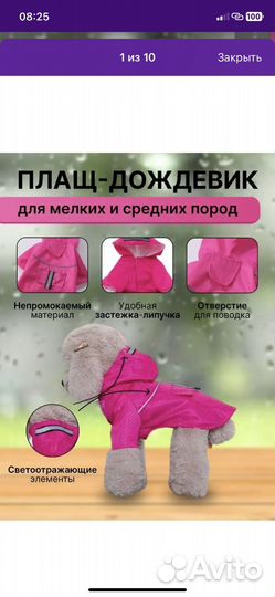 Одежда для средних собак