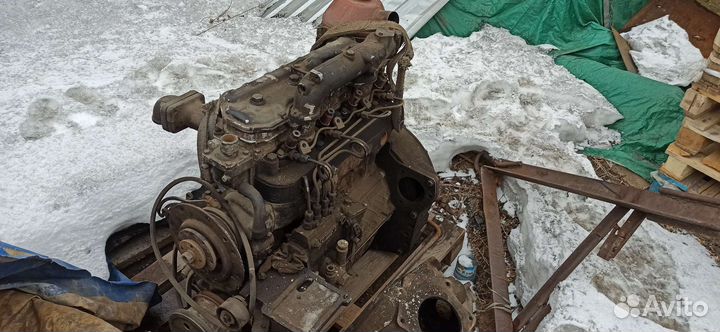 Двигатель д243