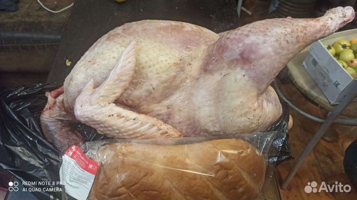 Мясо:кур,индейки,перепела,уткаТушенка