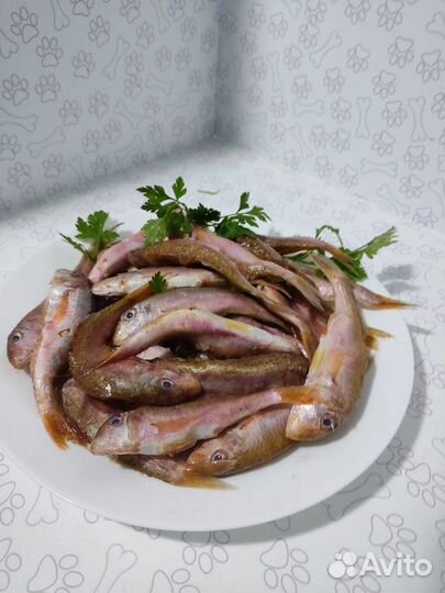 Мясо для собак/кошек