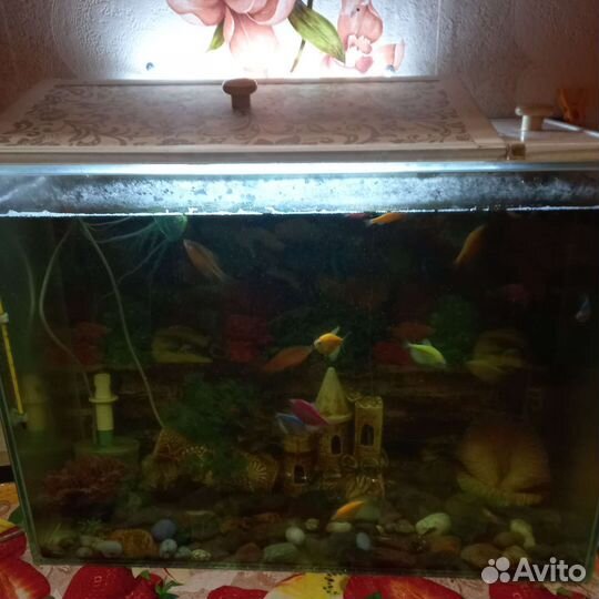 Аквариум