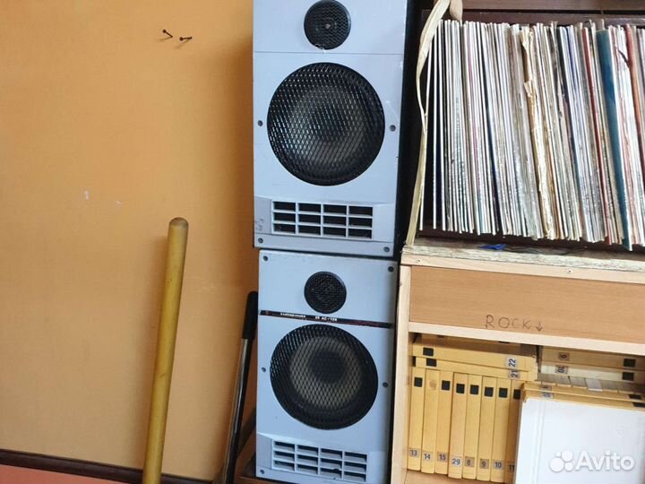 Колонки Электроника 25ас-128