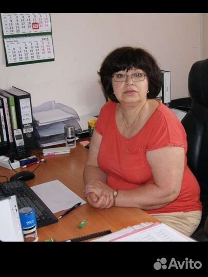 Бухгалтер СНТ, ип