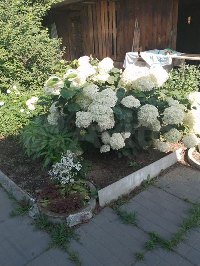 Дом 70 м² на участке 12 сот.