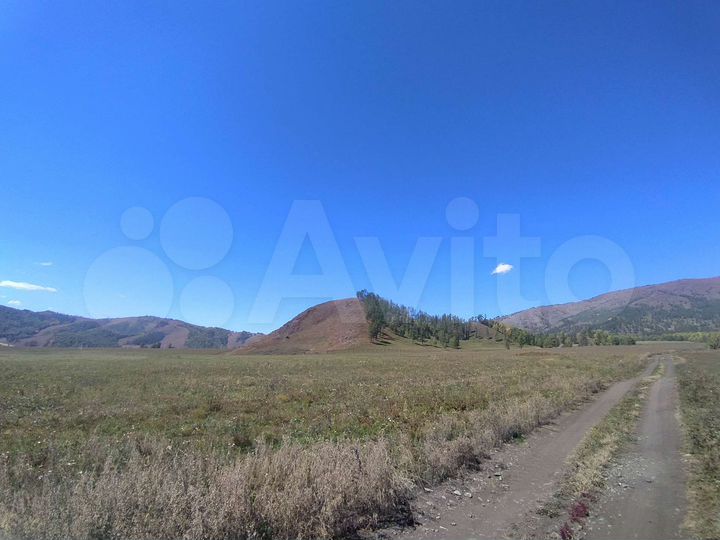 Участок 40 сот. (СНТ, ДНП)