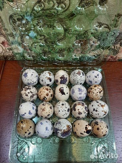 Яйца перепелиные домашние
