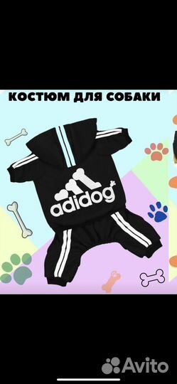 Костюм для собаки