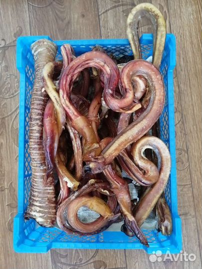 Бычий корень для собак