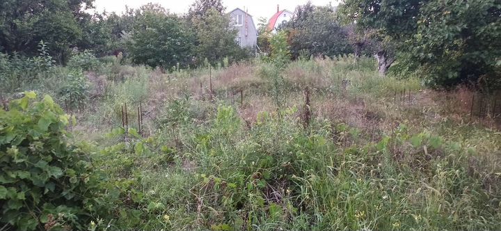 Участок 5 сот. (СНТ, ДНП)