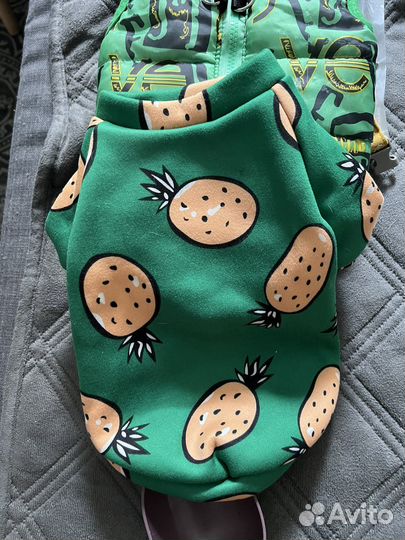 Вещи для щенка или маленькой собаки