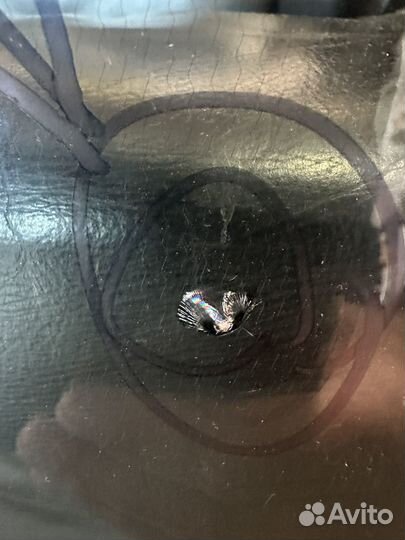 Renault kaptur лобовое стекло