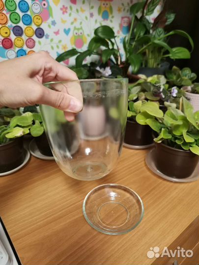 Горшок для цветов стекло