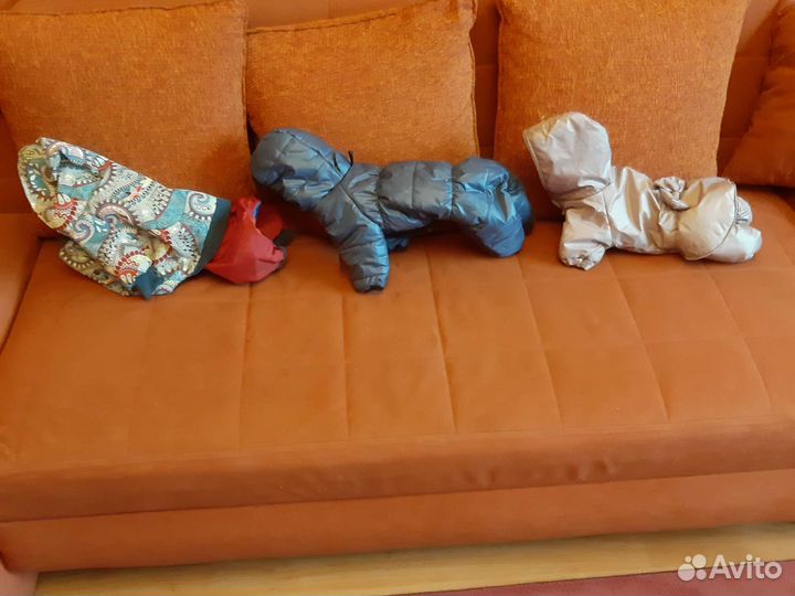 Одежда для собак йорков и др.мелких пород