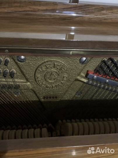 Пианино calisia