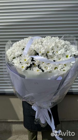 Букет гигант. Хризантема-ромашка
