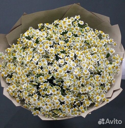 Букет ромашек