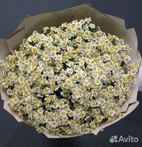 Букет ромашек
