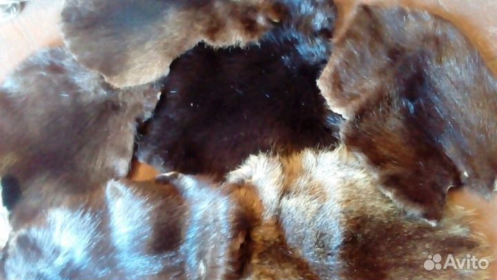 Шкура норки