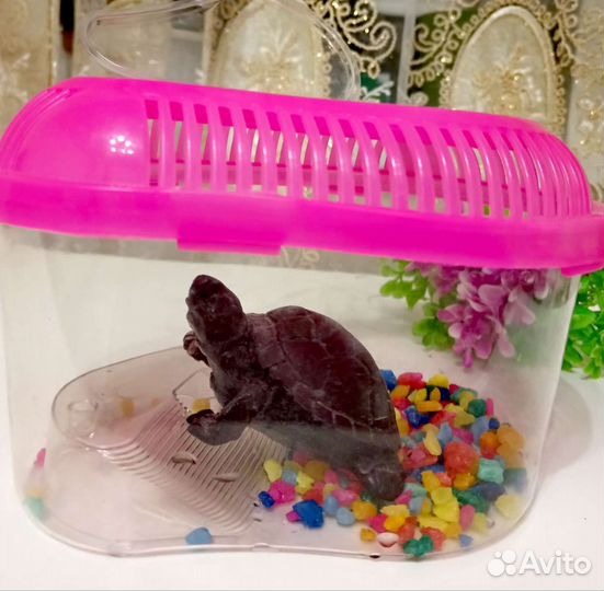 Террариум для рептилий