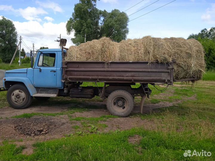 Сено в тюках и рулонах
