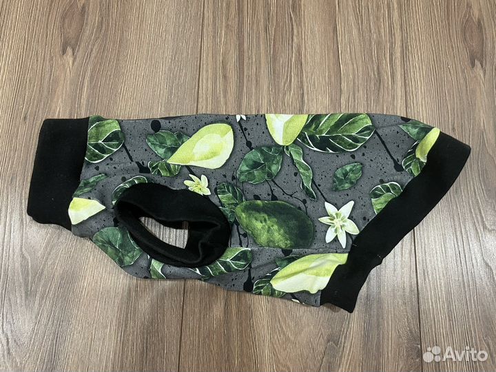 Одежда для кошек