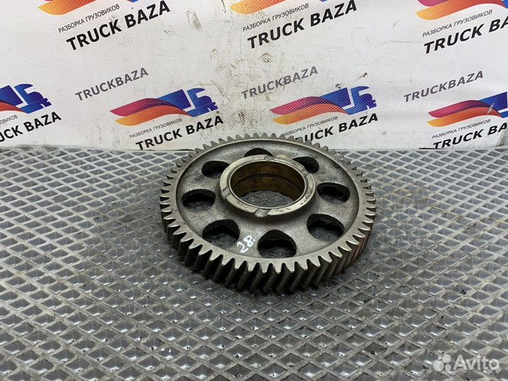 Шестерня грм промежуточная Iveco Eurotrakker