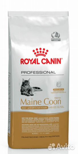 Мейн Кун Эдалт