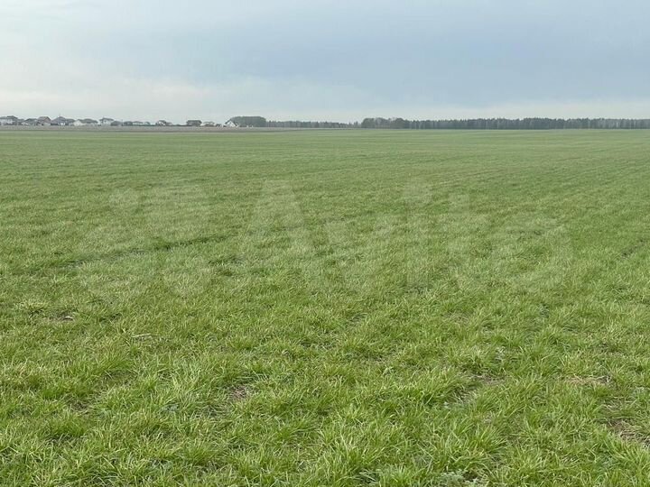 Участок 10 сот. (СНТ, ДНП)