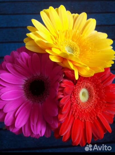 Подсвечники