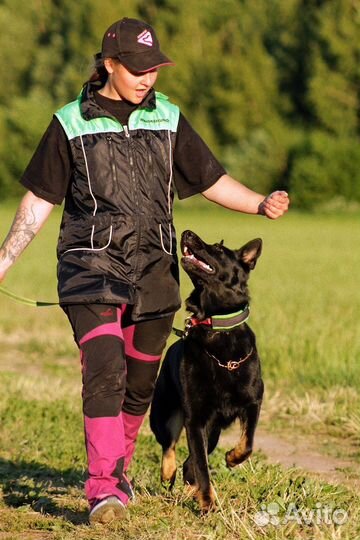 Кинолог с выездом
