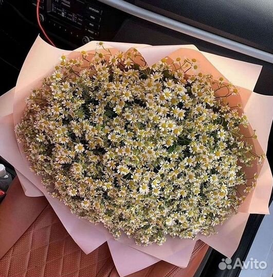 Ромашки Букет из ромашек доставка