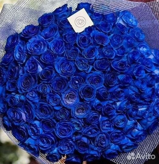 Синие розы Цветы Доставка