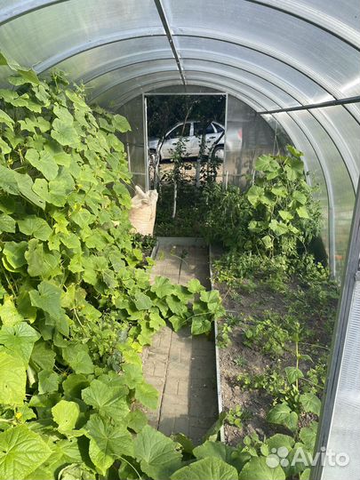 Теплица поликарбонат 4х3