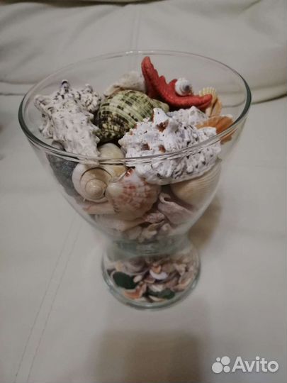 Ваза с ракушками