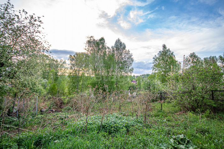 Участок 4,8 сот. (СНТ, ДНП)