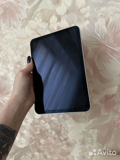 iPad mini 6 cellular wi-fi