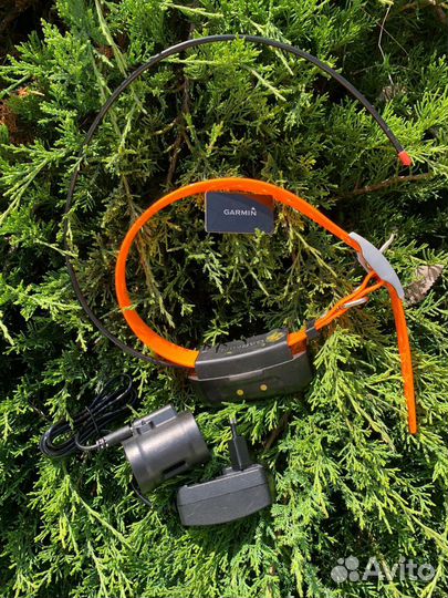 Ошейник Garmin DC 40 с зу (USA)