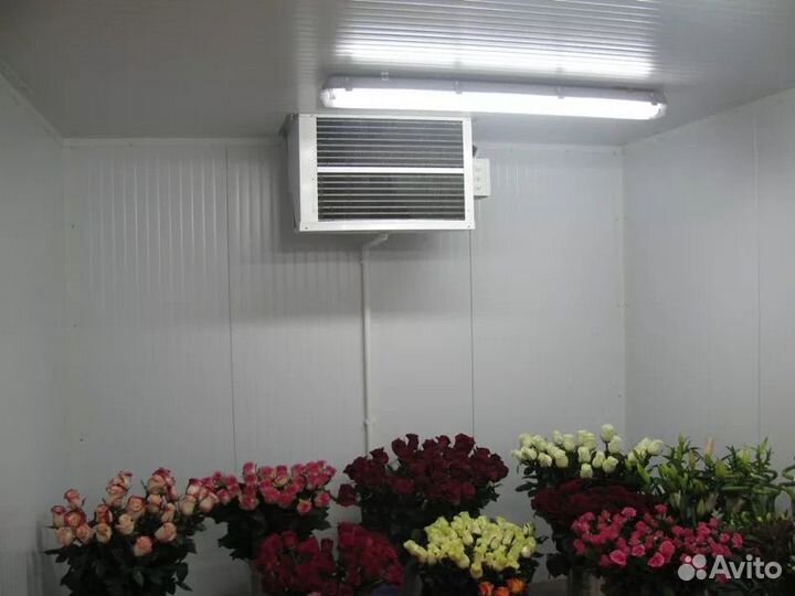 Холодильные камеры