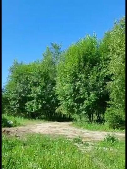 Участок 17 сот. (СНТ, ДНП)